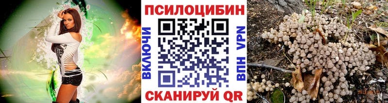 Псилоцибиновые грибы мицелий  закладка  Болохово 